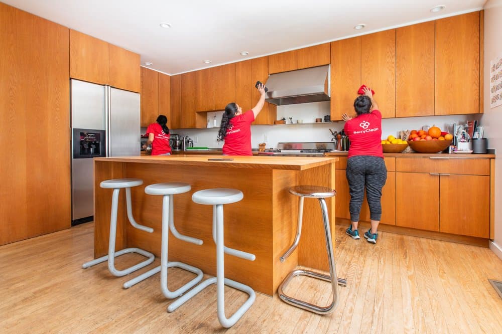 Trusted Maids Serving Los Angeles Homes and Apartments